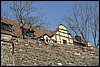 IMG_9578.JPG