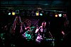 IMG_2597.JPG