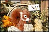 IMG_4091.JPG