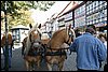 IMG_4108.JPG
