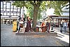 IMG_4157.JPG