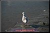 natur (50).JPG