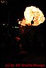 IMG_8251.JPG